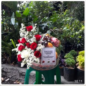 CDE – PB 003 – Parcel Buah