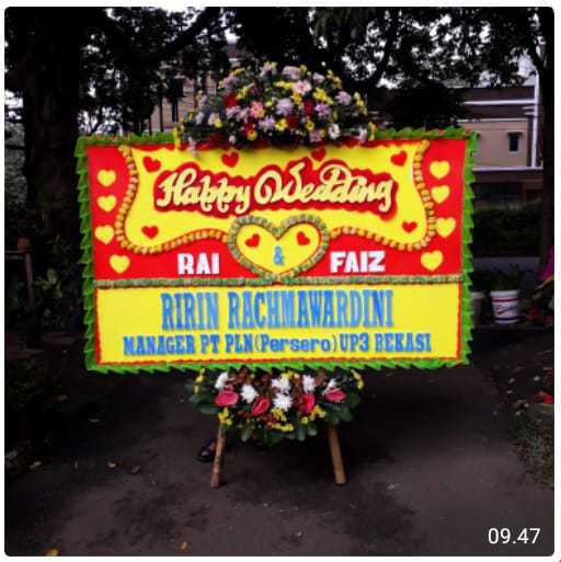 CDE – BP 051 – Bunga Papan