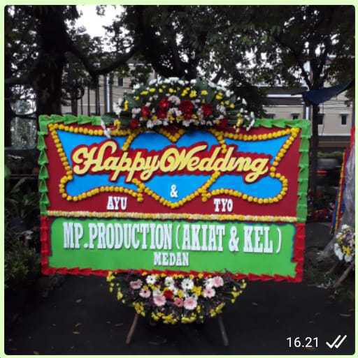 CDE – BP 054 – Bunga Papan