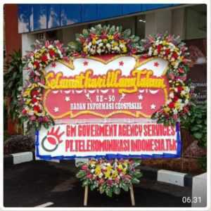 toko bunga bogor, toko bunga murah bogor, toko bunga online bogor, toko bunga daerah bogor, toko bunga bogor murah, toko bunga di bogor, toko bunga 24 jam bogor, papan bunga bogor, papan bunga murah bogor, papan bunga online bogor, papan bunga daerah bogor, papan bunga bogor murah, papan bunga di bogor, papan bunga 24 jam bogor, bunga papan bogor, bunga papan murah bogor, bunga papan online bogor, bunga papan daerah bogor, bunga papan bogor murah, bunga papan di bogor, bunga papan 24 jam bogor, bunga dukacita bogor, bunga pernikahan bogor, bunga wedding bogor, bunga khitanan bogor, bunga peresmian bogor, bunga wisuda bogor, bunga selamat dan sukses bogor, bunga pengukuhan bogor, bunga inagurasi bogor, bunga congratulations bogor, bunga condolences bogor, bunga anniversary bogor, bunga meja bogor, bunga meja murah bogor, bunga meja online bogor, bunga meja daerah bogor, bunga meja bogor murah, bunga meja di bogor, bunga meja 24 jam bogor, hand bouquet bogor, hand bouquet murah bogor, hand bouquet online bogor, hand bouquet daerah bogor, hand bouquet bogor murah, hand bouquet di bogor, hand bouquet 24 jam bogor, bunga standing bogor, bunga standing murah bogor, bunga standing online bogor, bunga standing daerah bogor, bunga standing bogor murah, bunga standing di bogor, bunga standing 24 jam bogor, bunga krans bogor, bunga krans murah bogor, bunga krans online bogor, bunga krans daerah bogor, bunga krans bogor murah, bunga krans di bogor, bunga krans 24 jam bogor, parcel buah bogor, parcel buah murah bogor, parcel buah online bogor, parcel buah daerah bogor, parcel buah bogor murah, parcel buah di bogor, parcel buah 24 jam bogor, karangan bunga bogor, karangan bunga murah bogor, karangan bunga online bogor, karangan bunga daerah bogor, karangan bunga bogor murah, karangan bunga di bogor, karangan bunga 24 jam bogor, florist bogor, florist murah bogor, florist online bogor, florist daerah bogor, florist bogor murah, florist di bogor, florist 24 jam bogor, bunga salib bogor, bunga salib murah bogor, bunga salib online bogor, bunga salib daerah bogor, bunga salib bogor murah, bunga salib di bogor, bunga salib 24 jam bogor, bunga box bogor, bunga box murah bogor, bunga box online bogor, bunga box daerah bogor, bunga box bogor murah, bunga box di bogor, bunga box 24 jam bogor, toko bunga antajaya, toko bunga argapura, toko bunga atang sanjaya, toko bunga babakan, toko bunga babakan madang, toko bunga babakan raden, toko bunga babakan sadeng, toko bunga bagoang, toko bunga balekambang, toko bunga bandung, toko bunga bangunjaya, toko bunga banjar sari, toko bunga banjar wangi, toko bunga banjar waru, toko bunga bantar jati, toko bunga bantar karet, toko bunga bantar kuning, toko bunga bantarjaya, toko bunga bantarsari, toko bunga banyu asih, toko bunga banyu resmi, toko bunga banyu wangi, toko bunga baranangsiang, toko bunga barengkok, toko bunga batok, toko bunga batu jajar, toko bunga batu layang, toko bunga batutulis, toko bunga bekasi, toko bunga bendungan, toko bunga benteng, toko bunga bitung sari, toko bunga bojong, toko bunga bojong baru, toko bunga bojong gede, toko bunga bojong indah, toko bunga bojong jengkol, toko bunga bojong koneng, toko bunga bojong kulur, toko bunga bojong murni, toko bunga bojong nangka, toko bunga bojong rangkas, toko bunga bojong sempu, toko bunga bojonggede, toko bunga brajamustika, toko bunga buanajaya, toko bunga bubulak, toko bunga bunar, toko bunga cadas ngampar, toko bunga candali, toko bunga caringin, toko bunga cariu, toko bunga cemplang, toko bunga ciadeg, toko bunga ciampea, toko bunga ciampea udik, toko bunga ciangsana, toko bunga cianjur, toko bunga cianten, toko bunga ciapus, toko bunga ciaruteun ilir, toko bunga ciaruteun udik, toko bunga ciasihan, toko bunga ciasmara, toko bunga ciawi, toko bunga cibadak, toko bunga cibadung, toko bunga cibalung, toko bunga cibanon, toko bunga cibanteng, toko bunga cibatok 1, toko bunga cibatok 2, toko bunga cibatu tiga, toko bunga cibeber 1, toko bunga cibeber 2, toko bunga cibedug, toko bunga cibening, toko bunga cibentang, toko bunga cibeureum, toko bunga cibeuteung muara, toko bunga cibeuteung udik, toko bunga cibinong, toko bunga cibitung kulon, toko bunga cibitung tengah, toko bunga cibitung wetan, toko bunga cibodas, toko bunga cibubur, toko bunga cibunar, toko bunga cibungbulang, toko bunga cibunian, toko bunga cibuntu, toko bunga ciburayut, toko bunga ciburuy, toko bunga cicadas, toko bunga ciderum, toko bunga cidokom, toko bunga cigombong, toko bunga cigudeg, toko bunga ciherang, toko bunga ciherang pondok, toko bunga cihideung ilir, toko bunga cihideung udik, toko bunga cihoe, toko bunga cijayanti, toko bunga cijeruk, toko bunga cijujung, toko bunga cikahuripan, toko bunga cikarawang, toko bunga cikaret, toko bunga cikeas, toko bunga cikeas udik, toko bunga cikopomayak, toko bunga cikuda, toko bunga cikutamahi, toko bunga cilaku, toko bunga cilebut barat, toko bunga cilebut timur, toko bunga cilember, toko bunga cileuksa, toko bunga cileungsi, toko bunga cileungsi kidul, toko bunga cimandala, toko bunga cimande, toko bunga cimande hilir, toko bunga cimanggis, toko bunga cimanggu, toko bunga cimanggu 1, toko bunga cimanggu 2, toko bunga cimayang, toko bunga cinagara, toko bunga cinangka, toko bunga cinangneng, toko bunga cintamanik, toko bunga ciomas, toko bunga ciomas rahayu, toko bunga cipambuan, toko bunga cipayung datar, toko bunga cipayung girang, toko bunga cipelang, toko bunga cipenjo, toko bunga cipeucang, toko bunga cipicung, toko bunga cipinang, toko bunga cirimekar, toko bunga ciriung, toko bunga cisalada, toko bunga cisarua, toko bunga ciseeng, toko bunga citapen, toko bunga citaringgul, toko bunga citayam, toko bunga citeko, toko bunga citeureup, toko bunga cogreg, toko bunga curug, toko bunga curug bitung, toko bunga dago, toko bunga dayeuh, toko bunga depok, toko bunga dramaga, toko bunga dukuh, toko bunga empang, toko bunga gadog, toko bunga galuga, toko bunga gandoang, toko bunga gintung cilejet, toko bunga girimulya, toko bunga gobang, toko bunga gorowong, toko bunga gunung batu, toko bunga gunung bunder, toko bunga gunung bunder ii, toko bunga gunung geulis, toko bunga gunung malang, toko bunga gunung menyan, toko bunga gunung picung, toko bunga gunung putri, toko bunga gunung sari, toko bunga gunung sindur, toko bunga hambalang, toko bunga hambaro, toko bunga harapan jaya, toko bunga harkatjaya, toko bunga indra prasta, toko bunga iwul, toko bunga jabon mekar, toko bunga jagabaya, toko bunga jagabita, toko bunga jakarta, toko bunga jambu luwuk, toko bunga jampang, toko bunga jasinga, toko bunga jatisari, toko bunga jaya raharja, toko bunga jogjogan, toko bunga jonggol, toko bunga jugala jaya, toko bunga kabasiran, toko bunga kadumangu, toko bunga kalisuren, toko bunga kalong 1, toko bunga kalong 2, toko bunga kalong liud, toko bunga kalongsawah, toko bunga kampung sawah, toko bunga karacak, toko bunga karadenan, toko bunga karang asem barat, toko bunga karang asem timur, toko bunga karang tengah, toko bunga karanggan, toko bunga karehkel, toko bunga karihkil, toko bunga karya mekar, toko bunga karyasari, toko bunga kedung waringin, toko bunga kemang, toko bunga kembang kuning, toko bunga kertajaya, toko bunga kiarapandak, toko bunga kiarasari, toko bunga klapanunggal, toko bunga koleang, toko bunga kopo, toko bunga kota batu, toko bunga kuripan, toko bunga kuta, toko bunga kuta mekar, toko bunga laladon, toko bunga lemah duhur, toko bunga leuweng kelot, toko bunga leuwibatu, toko bunga leuwikaret, toko bunga leuwiliang, toko bunga leuwimalang, toko bunga leuwimekar, toko bunga leuwinutug, toko bunga leuwisadeng, toko bunga ligarmukti, toko bunga limus nunggal, toko bunga loji, toko bunga lulut, toko bunga lumpang, toko bunga malasari, toko bunga mampir, toko bunga megamendung, toko bunga mekar jaya, toko bunga mekar sari, toko bunga mekarjaya, toko bunga mekarsari, toko bunga mekarwangi, toko bunga menteng, toko bunga muara jaya, toko bunga nagrak, toko bunga nambo, toko bunga nanggerang, toko bunga nanggewer, toko bunga nanggewer mekar, toko bunga nanggung, toko bunga neglasari, toko bunga pabangbon, toko bunga pabuaran, toko bunga pabuaran mekar, toko bunga padasuka, toko bunga padurenan, toko bunga pagelaran, toko bunga pajajaran, toko bunga pakansari, toko bunga palasari, toko bunga paledang, toko bunga pamager sari, toko bunga pamagersari, toko bunga pamijahan, toko bunga pancawati, toko bunga pandansari, toko bunga pangaur, toko bunga pangkal jaya, toko bunga pangradin, toko bunga parakan, toko bunga parakan jaya, toko bunga parakan muncang, toko bunga parigi mekar, toko bunga parung, toko bunga parung panjang, toko bunga parungpanjang, toko bunga pasarean, toko bunga pasir, toko bunga pasir angin, toko bunga pasir buncir, toko bunga pasir jambu, toko bunga pasir madang, toko bunga pasir mukti, toko bunga pasir muncang, toko bunga pasireurih, toko bunga pasirgaok, toko bunga pasirjaya, toko bunga pasirlaja, toko bunga pengasinan, toko bunga petir, toko bunga pingku, toko bunga pomad, toko bunga pondok rajeg, toko bunga pondok udik, toko bunga puncak, toko bunga purasari, toko bunga puraseda, toko bunga purwabakti, toko bunga purwasari, toko bunga puspanegara, toko bunga puspasari, toko bunga putat nutug, toko bunga rabak, toko bunga ragajaya, toko bunga ranca bungur, toko bunga rawa panjang, toko bunga rawakalong, toko bunga rengasjajar, toko bunga rs azra, toko bunga rs bogor medical center, toko bunga rs ciawi, toko bunga rs cisarua, toko bunga rs islam, toko bunga rs karya bhakti pratiwi, toko bunga rs marzuki mahdi, toko bunga rs pmi, toko bunga rs sentra medika, toko bunga rsud cibinong, toko bunga rsud kota bogor, toko bunga rumah duka filemon, toko bunga rumpin, toko bunga sadeng, toko bunga sadengkolot, toko bunga sahala matua, toko bunga sanja, toko bunga sasak panjang, toko bunga selawangi, toko bunga semplak, toko bunga semplak barat, toko bunga sentul, toko bunga setu, toko bunga setu sari, toko bunga sibanteng, toko bunga sinar kasih, toko bunga sinar sari, toko bunga sinargalih, toko bunga sindangbarang, toko bunga singabangsa, toko bunga singabraja, toko bunga singajaya, toko bunga singasari, toko bunga sipak, toko bunga sipayung, toko bunga sirnagalih, toko bunga sirnajaya, toko bunga sirnarasa, toko bunga sirnasari, toko bunga situ daun, toko bunga situ ilir, toko bunga situ udik, toko bunga srogol, toko bunga sukadamai, toko bunga sukagalih, toko bunga sukaharja, toko bunga sukahati, toko bunga sukajadi, toko bunga sukajaya, toko bunga sukakarya, toko bunga sukaluyu, toko bunga sukamahi, toko bunga sukamaju, toko bunga sukamakmur, toko bunga sukamanah, toko bunga sukamantri, toko bunga sukamulih, toko bunga sukamulya, toko bunga sukanegara, toko bunga sukaraja, toko bunga sukaraksa, toko bunga sukarasa, toko bunga sukarenek, toko bunga sukaresmi, toko bunga sukasari, toko bunga sukasirna, toko bunga sukatani, toko bunga sukawangi, toko bunga sukawening, toko bunga sukmajaya, toko bunga sumur batu, toko bunga susukan, toko bunga tajur, toko bunga tajur halang, toko bunga taman sari, toko bunga tamansari, toko bunga tangkil, toko bunga tanjung sari, toko bunga tanjungrasa, toko bunga tanjungsari, toko bunga tapos, toko bunga tapos 1, toko bunga tapos 2, toko bunga tarikolot, toko bunga tegal, toko bunga tegal panjang, toko bunga tegal wangi, toko bunga tegal waru, toko bunga tegalega, toko bunga teluk pinang, toko bunga tengah, toko bunga tenjo, toko bunga tenjolaya, toko bunga tlajung udik, toko bunga tonjong, toko bunga tugu selatan, toko bunga tugu utara, toko bunga tugujaya, toko bunga tunjang, toko bunga urug, toko bunga wanaherang, toko bunga wangun jaya, toko bunga wargajaya, toko bunga waringin jaya, toko bunga waru, toko bunga warujaya, toko bunga warung menteng, toko bunga watesjaya, toko bunga weninggalih